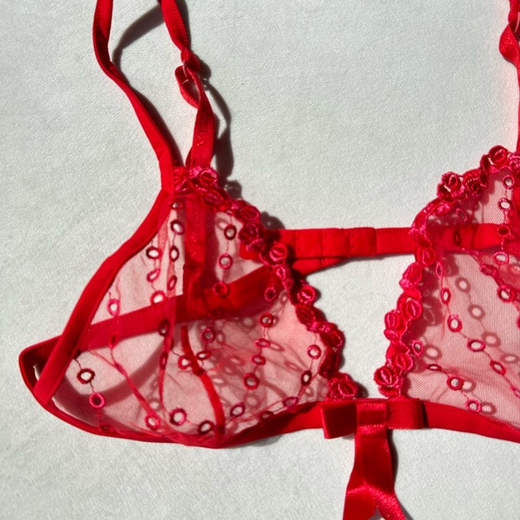 NWT LA PERLA Vintage Red sheer embroidered bra. - Picture 7 of 10